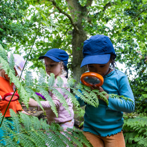 Forest School for Primary school children at St Mary's Kindergarten Colchester